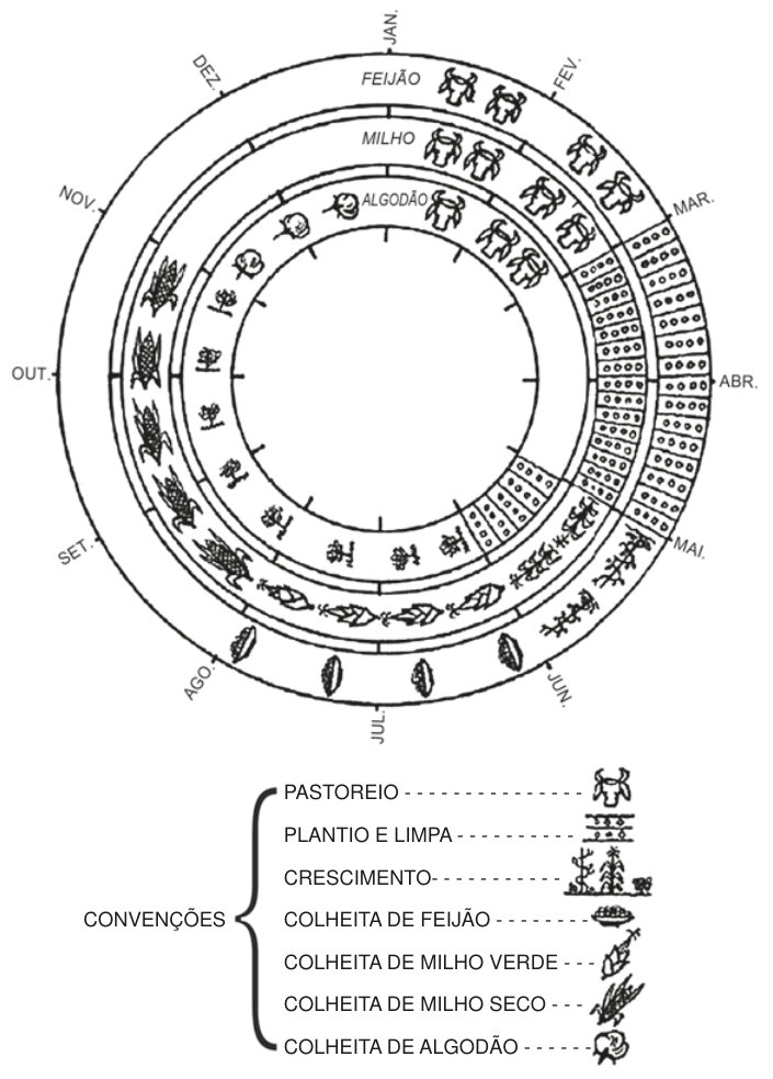 Calendário circular de janeiro a dezembro, em três faixas concêntricas: feijão na faixa externa, milho na intermediária e algodão na interna. Símbolos distribuídos ao longo dos meses indicam pastoreio, plantio e limpa, crescimento e colheita de cada cultura. A legenda representa pastoreio por um boi; plantio por fileiras de sementes; crescimento por plantas; e as colheitas por símbolos de feijão, milho verde, milho seco e algodão. As atividades mudam conforme os meses.