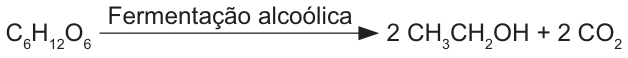 C seis H doze O seis produz, por fermentação alcoólica, dois C H três C H dois O H mais dois C O dois.