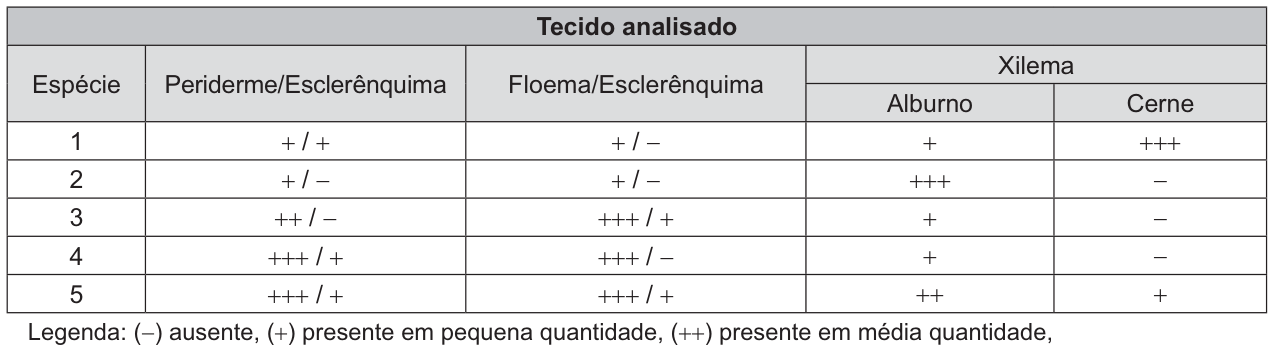 Tabela dos tecidos analisados em cinco espécies. As colunas são espécie; periderme e esclerênquima; floema e esclerênquima; e xilema, dividido em alburno e cerne. Legenda: ausente, pequena, média ou grande quantidade. Espécie 1: periderme pequena, esclerênquima pequena; floema pequena, esclerênquima ausente; alburno pequeno; cerne grande. Espécie 2: periderme pequena, esclerênquima ausente; floema pequena, esclerênquima ausente; alburno grande; cerne ausente. Espécie 3: periderme média, esclerênquima ausente; floema grande, esclerênquima pequena; alburno pequeno; cerne ausente. Espécie 4: periderme grande, esclerênquima pequena; floema grande, esclerênquima ausente; alburno pequeno; cerne ausente. Espécie 5: periderme grande, esclerênquima pequena; floema grande, esclerênquima pequena; alburno médio; cerne pequeno.