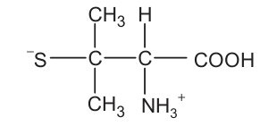Um carbono está ligado a S com carga negativa, a dois grupos C H três e a um segundo carbono. O segundo carbono está ligado a hidrogênio, N H três com carga positiva e C O O H.
