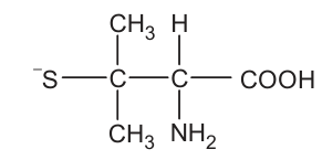 Um carbono está ligado a S com carga negativa, a dois grupos C H três e a um segundo carbono. O segundo carbono está ligado a hidrogênio, N H dois e C O O H.