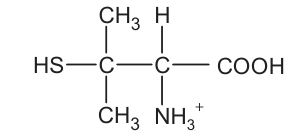 Um carbono está ligado a H S, a dois grupos C H três e a um segundo carbono. O segundo carbono está ligado a hidrogênio, N H três com carga positiva e C O O H.