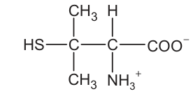 Um carbono está ligado a H S, a dois grupos C H três e a um segundo carbono. O segundo carbono está ligado a hidrogênio, N H três com carga positiva e C O O com carga negativa.