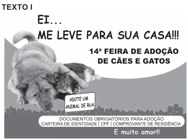 Cartaz de adoção com um cão e um gato juntos. No alto, lê-se: “Ei... me leve para sua casa!!!” e “14ª Feira de Adoção de Cães e Gatos”. Uma placa diz: “Adote um animal de rua”. Na parte inferior: “Documentos obrigatórios para adoção: carteira de identidade, CPF e comprovante de residência”. Abaixo, lê-se: “É muito amor!!”