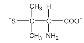 Um carbono está ligado a S com carga negativa, a dois grupos C H três e a um segundo carbono. O segundo carbono está ligado a hidrogênio, N H dois e C O O com carga negativa.
