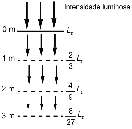 Esquema da intensidade luminosa em um rio. A profundidade aumenta para baixo: na superfície, 0 metro, a intensidade é L zero; a 1 metro, dois terços de L zero; a 2 metros, quatro nonos de L zero; a 3 metros, oito vinte e sete avos de L zero. Setas apontam para baixo entre as profundidades.