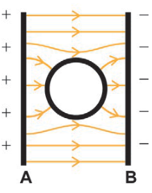 Esquema com a barra A positiva à esquerda e a barra B negativa à direita. Há um círculo preto entre elas. As linhas têm setas para a direita e se curvam ao redor do círculo, deixando seu interior sem linhas.