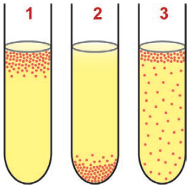 Três tubos de ensaio com o mesmo meio de cultura amarelo. Os pontos vermelhos representam células bacterianas. No tubo 1, os pontos se concentram na superfície do meio. No tubo 2, concentram-se no fundo. No tubo 3, aparecem por todo o meio, com maior concentração perto da superfície.
