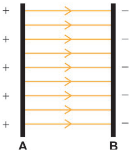 Esquema visto de cima. Duas barras verticais paralelas: A, à esquerda, com sinais positivos; B, à direita, com sinais negativos. Entre elas, linhas de campo retas, horizontais e paralelas, com setas da esquerda para a direita.