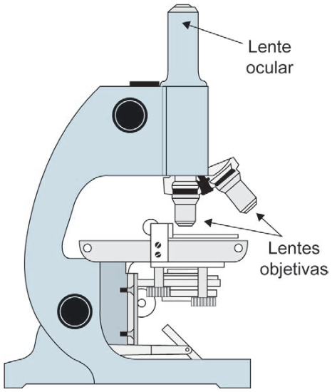 Esquema de um microscópio óptico. Uma seta identifica a lente ocular, na parte superior do tubo por onde se olha. Outras setas identificam as lentes objetivas, abaixo do tubo e voltadas para a lâmina onde fica a amostra.