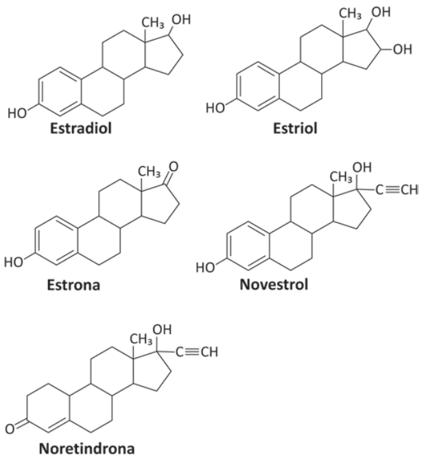 Esquema de cinco hormônios, cada um com quatro anéis fundidos. Estradiol: dois grupos OH, um no anel aromático e outro no anel de cinco membros; um CH3. Estriol: três OH, um no anel aromático e dois no anel de cinco membros; um CH3. Estrona: um OH no anel aromático, uma carbonila C igual O e um CH3. Novestrol: dois OH, um CH3 e um grupo etinil, C tripla ligação CH. Noretindrona: um OH, uma carbonila, um CH3 e um grupo etinil; não possui anel aromático.